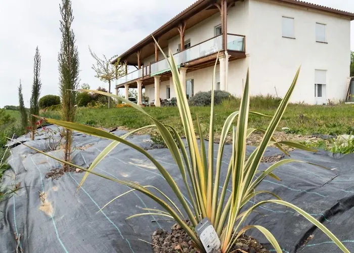 La Decouverte, Jacuzzi, Sauna, Et Terrasse Avec Vue Sur A La Campagne Entre Toulouse Et Auch Holiday home Catonvielle