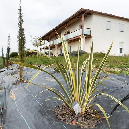 La Decouverte, Jacuzzi, Sauna, Et Terrasse Avec Vue Sur A La Campagne Entre Toulouse Et Auch 度假居 Catonvielle